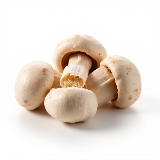 Champignons