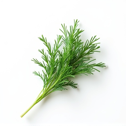 Dill