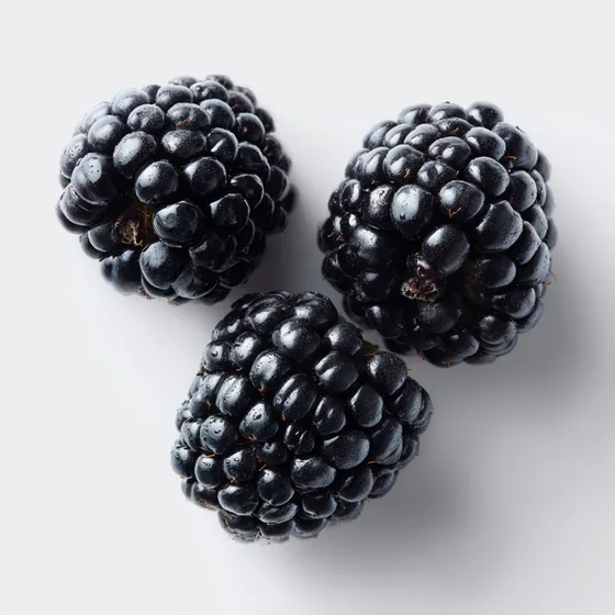 Brombeere