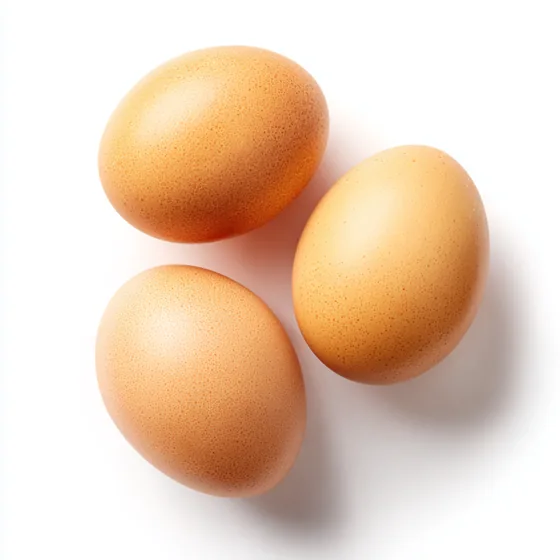 Eier
