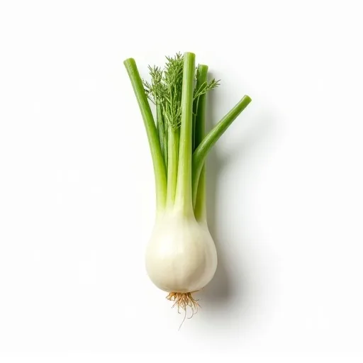Fenchel