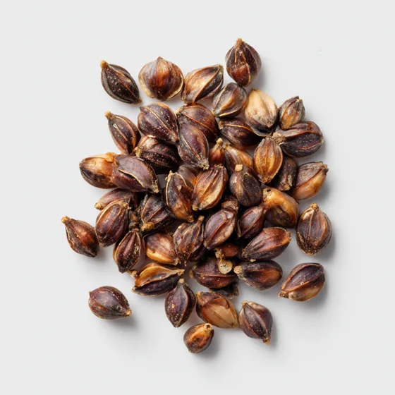 Grains of Paradise