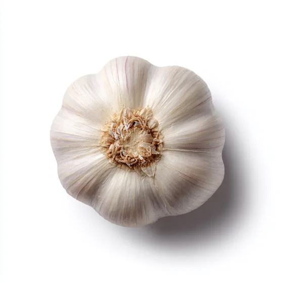 Knoblauch