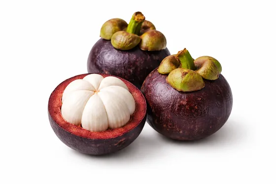Mangostan