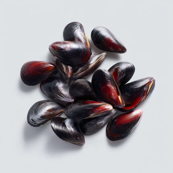 Muscheln