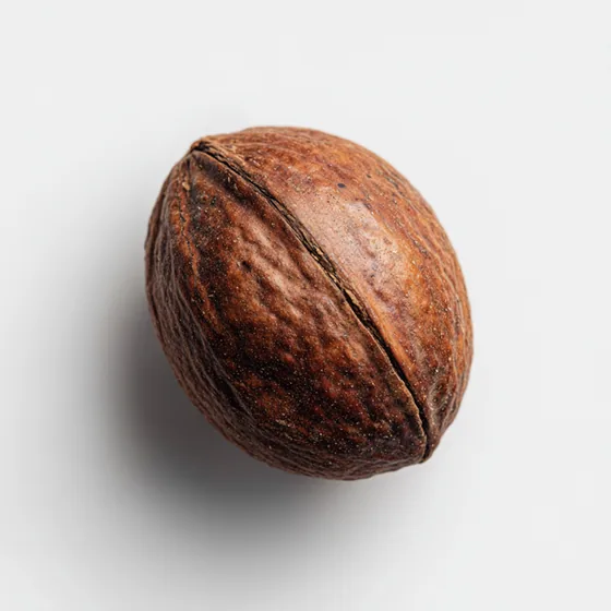Muskatnuss