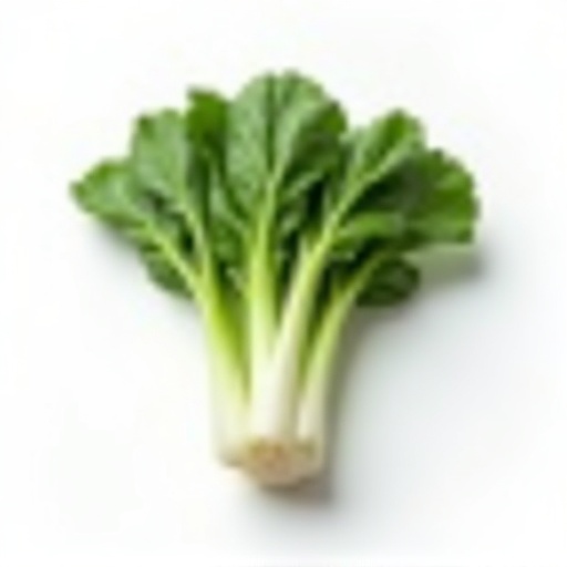 Pak Choi